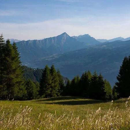 Alp Jurte Skihuette Luksustelt