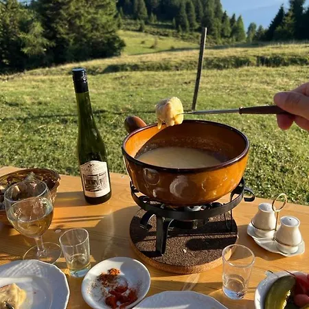 Campo de lujo Alp Jurte Feldis